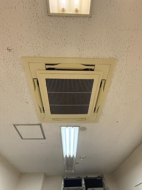 画像8