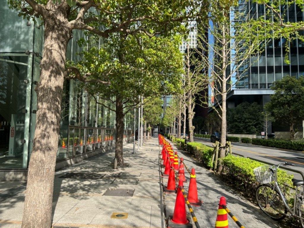 画像8