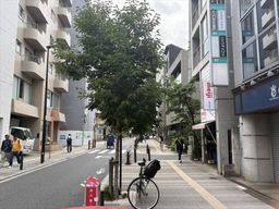 画像9