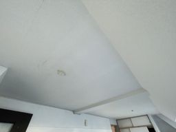 画像11