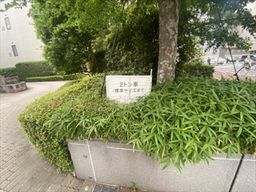 画像8