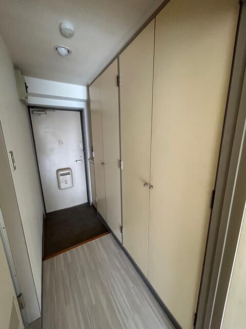 画像7