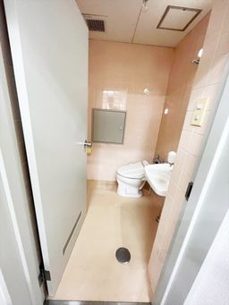 画像14