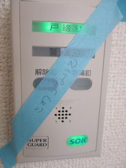 画像8