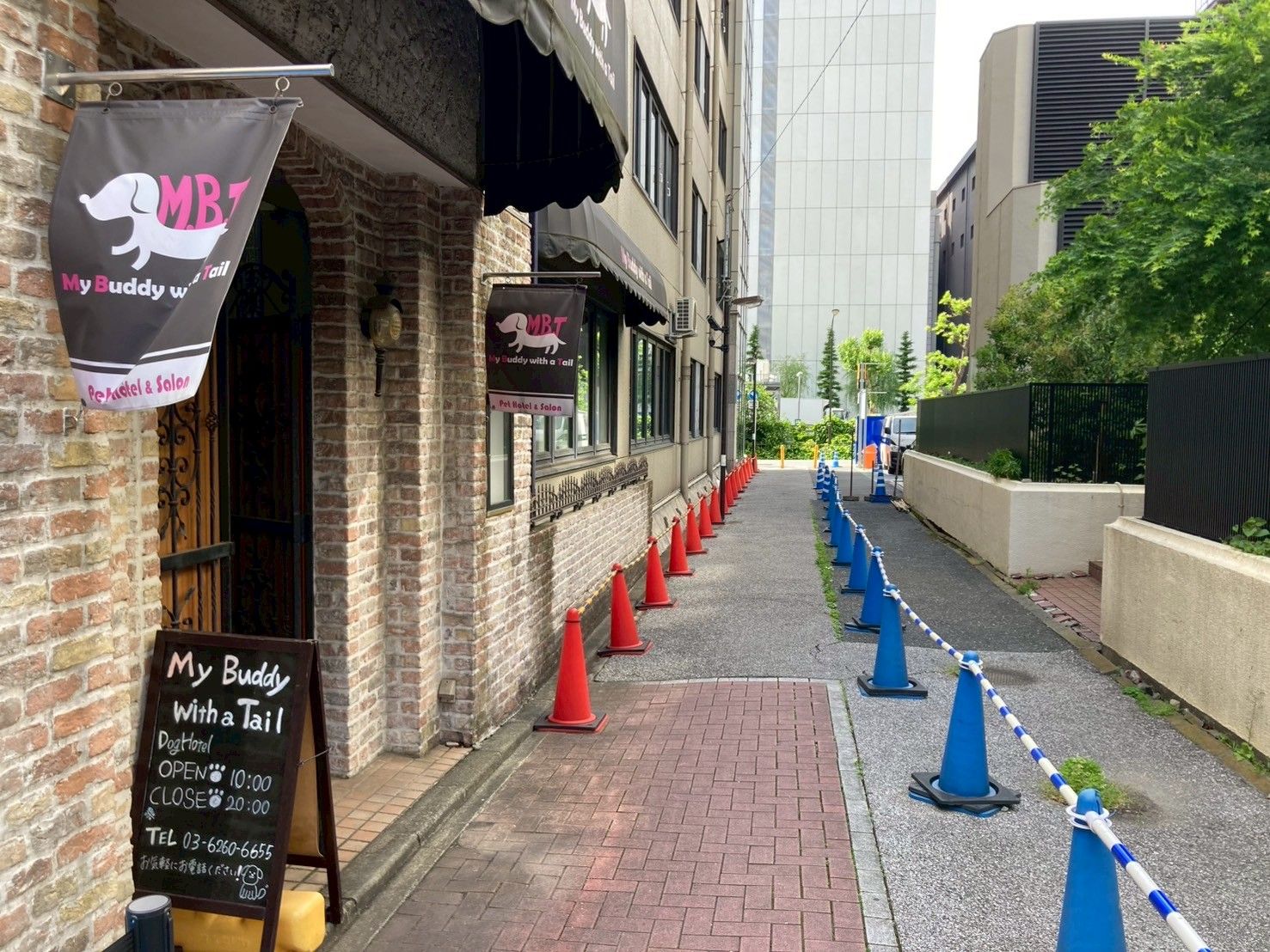 画像6