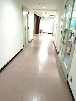 画像11