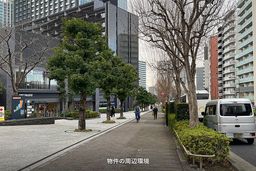 画像11