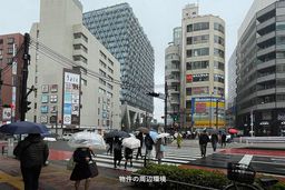 画像13