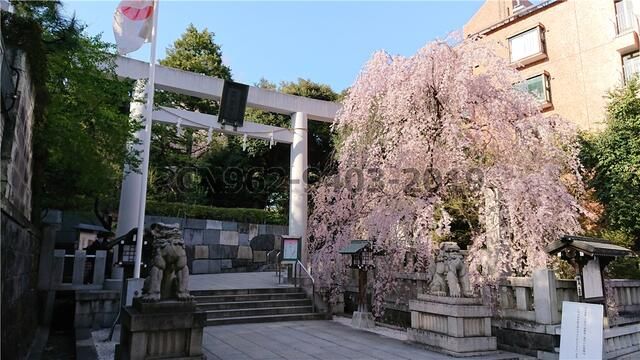 画像21