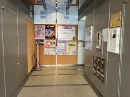画像8