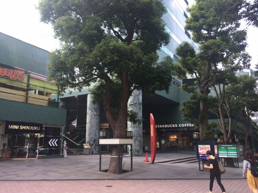 画像6