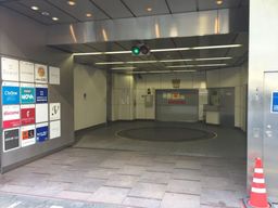 画像8