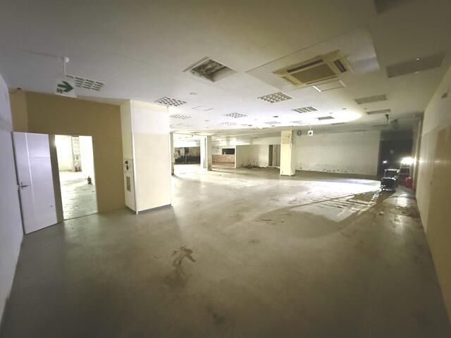 画像13