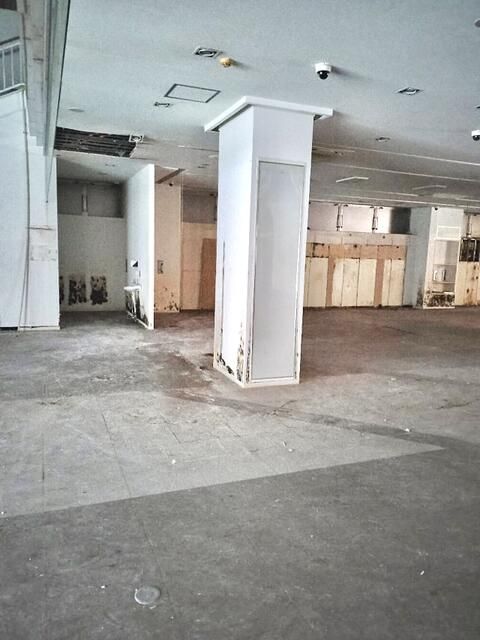 画像8