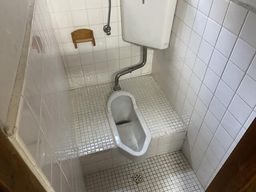 画像12