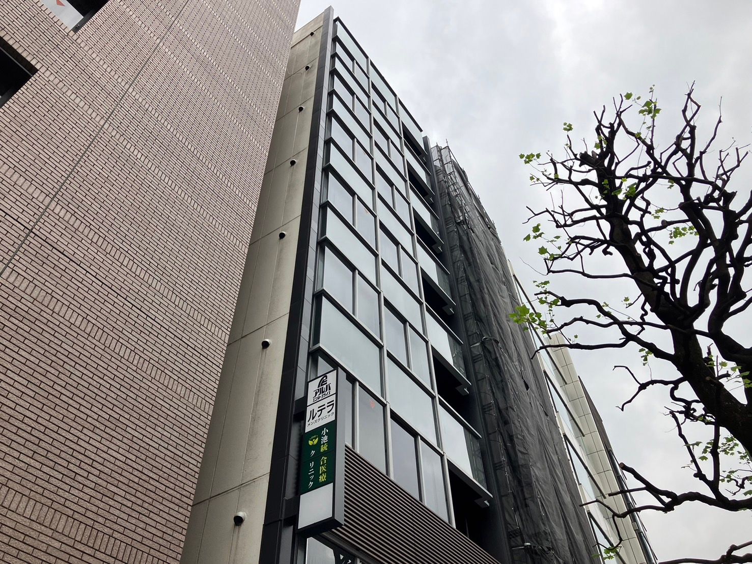 画像14