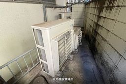 画像19