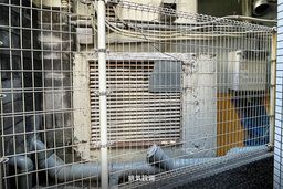 画像20