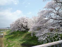 画像13