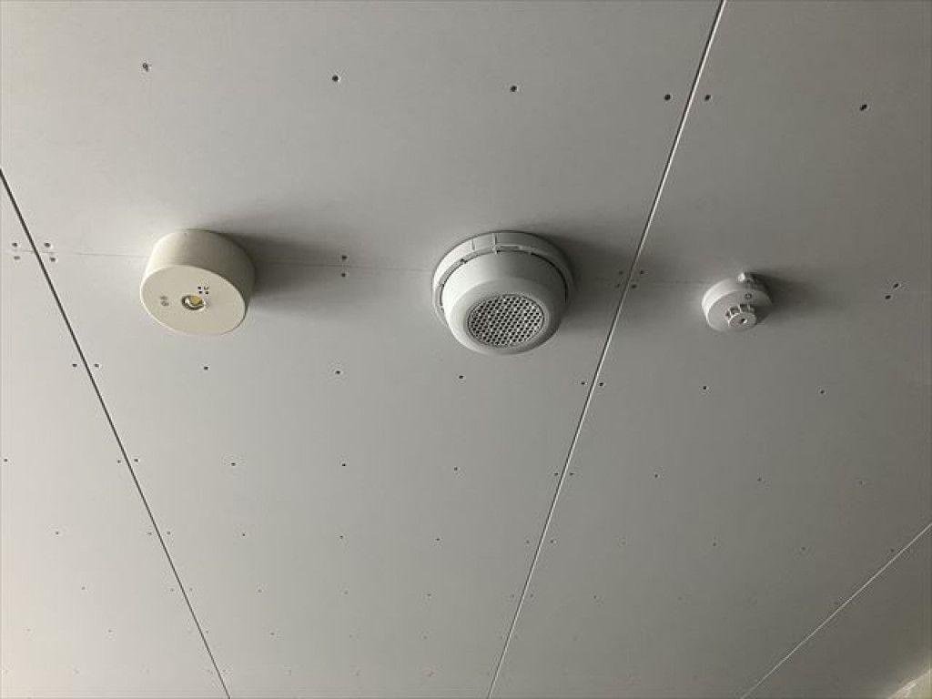 画像11