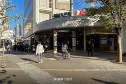 画像12