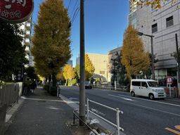 画像8