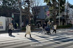 画像15