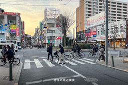 画像14