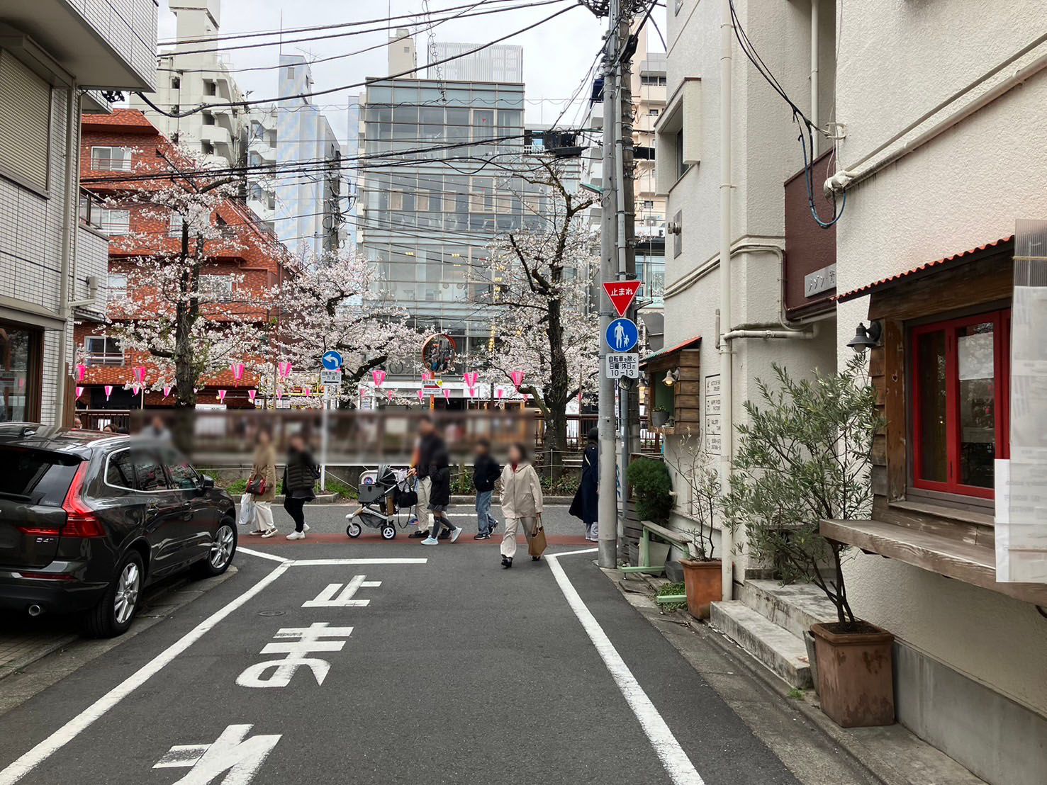 画像12