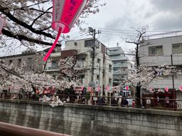 画像14