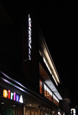 画像8