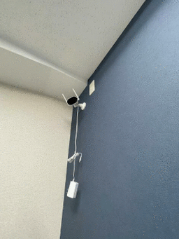 画像8