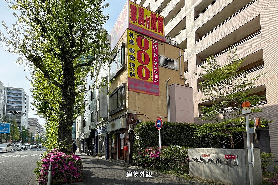 画像7