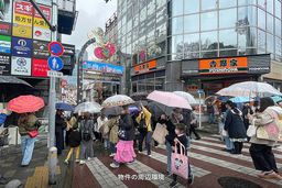 画像11