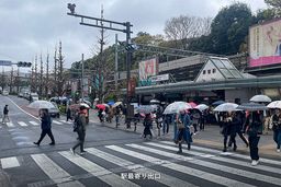 画像9