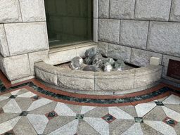 画像11