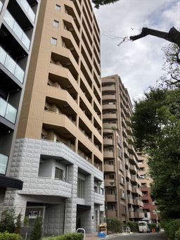 画像11